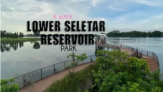 Walk Around To Lower Seletar Reservoir Park