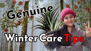 🔴8 TIPS सर्दियों में कैसे करे देखभाल - HOW TO CARE PLANTS IN WINTER  #wintercare #gardening  #plants