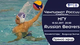 Водное поло. Чемпионат России НВА. МГУ - Russian Beavers (прямой эфир)