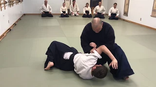 Aikido: Ki-Musubi in Shomenuchi Ikkyo (Omote/Ura)