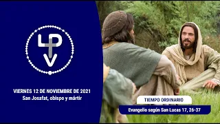 Evangelio del día viernes 12 de noviembre de 2021, P. Francisco Arrondo, sj