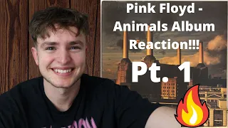 Teen Reacts To Pink Floyd - Animals Album Reaction Pt. 1!!!