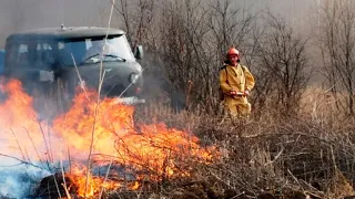 Хабаровск охватили природные пожары