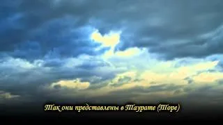 Мухаммад аль Люхайдан, сура аль Фатх, 29