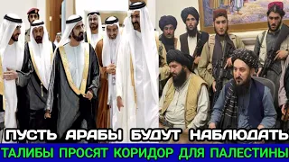 Талибы Просят У Арабов Коридор На Войну в Палестину!