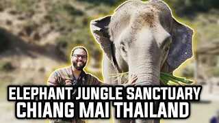 CHIANG MAI ELEPHANT JUNGLE SANCTUARY CAMP 2020 🐘  -TRAVEL VLOG -(FILMED PRE-COVID)