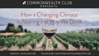 How a Changing Climate is Altering the Way We Drink