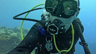 Caymans Aggressor, Sun May 5, 2024 - Dive 2