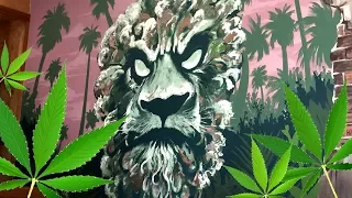 Marijuana Mural for Dispensary