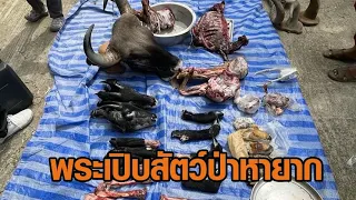 ผงะ! ค้นกุฏิพบซากหมีควาย-สัตว์ป่าหายากเพียบ หลังชาวบ้านร้อง เจ้าอาวาสวัดโคราชชอบเปิบ