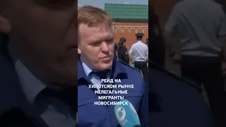 ПРОВЕЛИ РЕЙД ПО ВЫЯВЛЕНИЮ НЕЛЕГАЛЬНЫХ МИГРАНТОВ В ХЛОТСКОМ РЫНКЕ НОВОСИБИРСКА #рейд#новосибирск