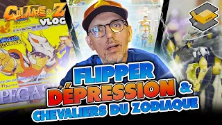 FLIPPER, DEPRESSION ET SAINT SEIYA - Culture Z vlog 3