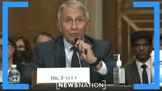 Anthony Fauci testifies in Congress on COVID-19 pandemic | On Balance