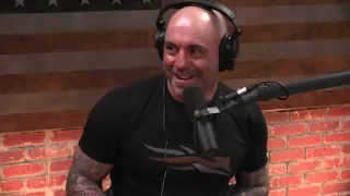 Joe Rogan on Knockouts, Brain Trauma