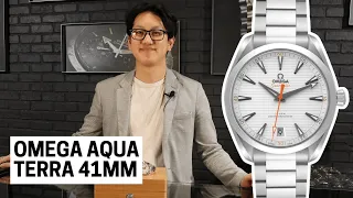 Omega Aqua Terra 41mm: A Watch for Everyday Elegance | SwissWatchExpo