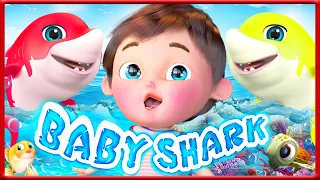 Песня маленькой акулы + Песенки про животных | Banana Cartoon Preschool-банане Мультфильм