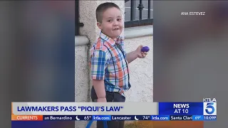 'Piqui's Law' passed after SoCal boy murdered by father in custody battle