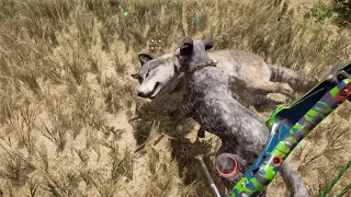 Far Cry 5 boomer VS grey wolf Who will WIN