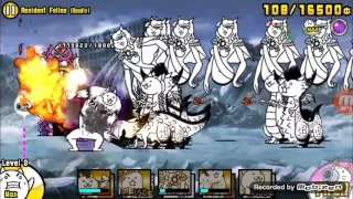 [Battle Cats] Titan Maniac | Resident Feline (Hard++++)