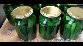 🥒вкусненькие огурчики без травы🌱,для квартиры