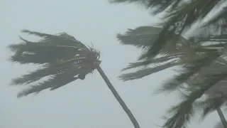 Cat 5 Super Typhoon Mangkhut Lashes N Philippines - Full 4K Stock Footage