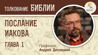 Послание Иакова. Глава 1. Вера и мудрость. Андрей Десницкий. Библия