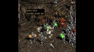 I reached level 99 solo with self-found gear on Project Diablo 2