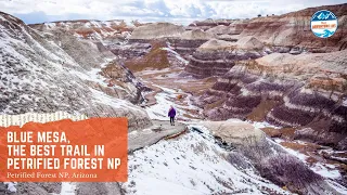 Blue Mesa, the Best Trail in Petrified Forest NP