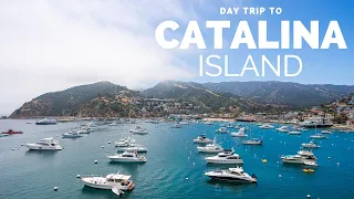 Catalina Island Day Trip: What to do in Avalon in One Day