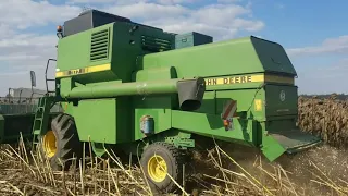 Збираємо соняшник РЖТ Марллен. John Deere 1177. 10 жовтня 21р.