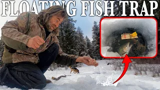 Floating Mouse Trap Ice Fishing Catch & Cook