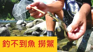 【三峽河 天佛寺】釣不到魚 撈鱉 #三峽河