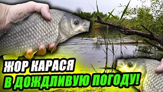 Попали на ЖОР КАРАСЯ в ДОЖДЛИВУЮ ПОГОДУ! ПОСПОРИЛИ с БРАТОМ на РЫБАЛКЕ?! Рецепт КАШИ на КАРАСЯ!