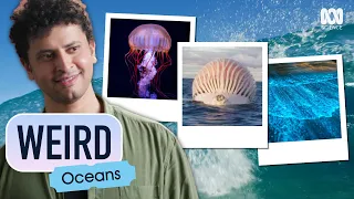 The ocean's most bizarre natural phenomena | Weird: Oceans | ABC Science