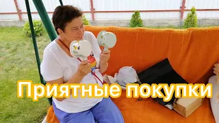 Как я подружку чуть не «переплюнула». Цены во время войны. Пополняю запасы. Джем и сок из алычи.