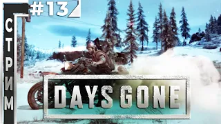 Days Gone  -  Прохождение #13