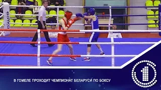 В Гомеле проходит чемпионат Беларуси по боксу