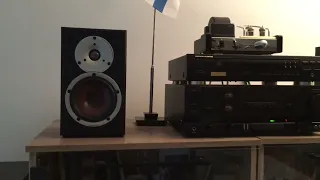 Dali Spektor2 + Luxman LV105