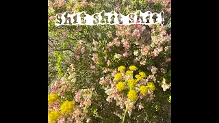 shit shit shit! (ssshhhiiittt!) – sunsad (Альбом, 2022)