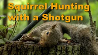 Prepping to use a Shotgun for Squirrel Hunting