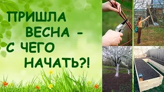 Пришла весна - с чего начать?! (Семинар)