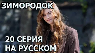 Сериал Зимородок 20 серия русская озвучка