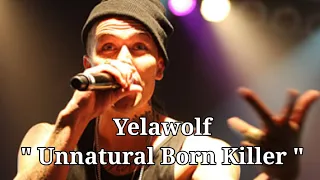 Yelawolf - Unnatural Born Killer [Clean] (Audio)