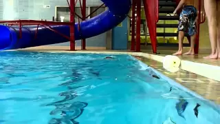 3yo William out of the slide and swimming to the side