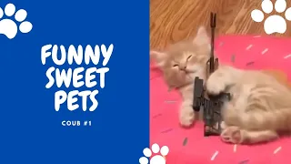 😸BEST FUNNY&CUTE ANIMALS🐶 - COUB COMPILATION 2020 #1