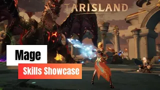 Tarisland: Chinese WOW Mage Skills Showcase