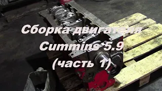 Двигатель Cummins 5.9 (сборка часть 1) | Ремонт двигателя камминз cummins 5.9--6.7