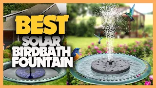 10 Best Solar Birdbath Fountains 2022