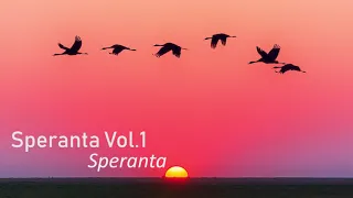 Speranta - Speranta - Marius Gorcea