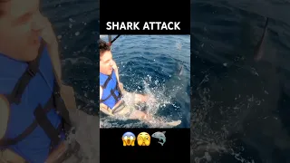 SHARK ATTACK! (VFX)